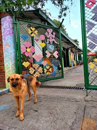 Panel de discusión sobre el marco normativo